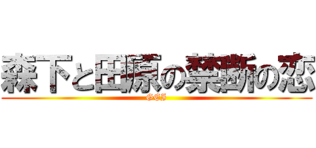 森下と田原の禁断の恋 (GEI)