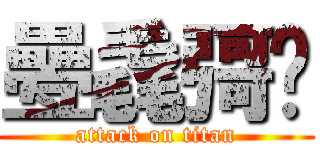 疉毳彁𛀉 (attack on titan)