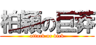 柏穎の巨莽 (attack ur dick)