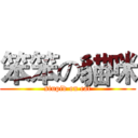 笨笨の貓咪 (stupid on cat)