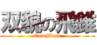 双貌の飛錐 (CodeBlack)