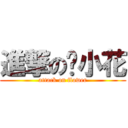 進撃の俏小花 (attack on flower)