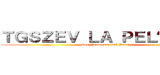 ＴＧＳＺＥＶ ＬＡ ＰＥＬÍＣＵＬＡ (Los Fantasmas del Pasado!)