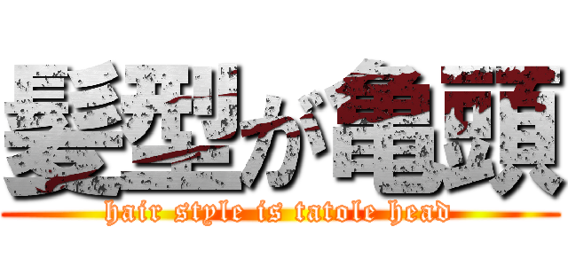 髪型が亀頭 (hair style is tatole head)