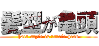 髪型が亀頭 (hair style is tatole head)