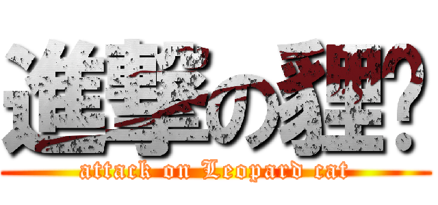 進撃の貍貓 (attack on Leopard cat)