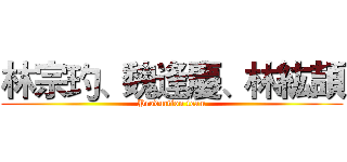 林宗玓、魏逢慶、林紘頡 (Production team)