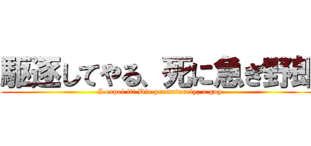駆逐してやる、死に急ぎ野郎 (I expel it! Die prematurely; a guy)