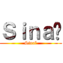 Ｓｉｎａï (Sinaï)