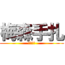 梅森手扎 (梅森手扎)