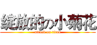 绽放的の小菊花 (attack on titan)
