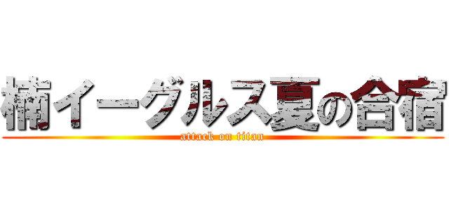 楠イーグルス夏の合宿 (attack on titan)