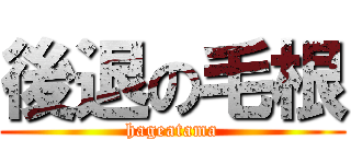 後退の毛根 (hageatama)