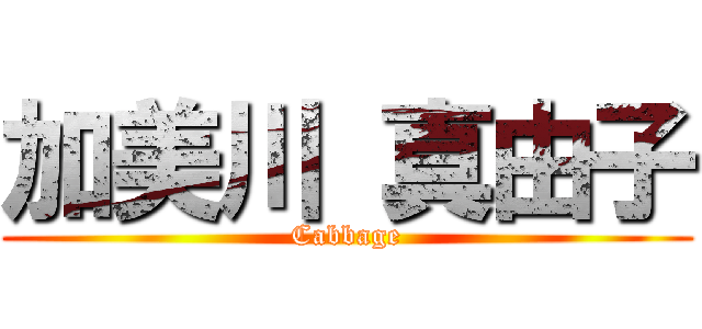 加美川 真由子 (Cabbage)