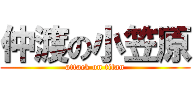 仲渡の小笠原 (attack on titan)