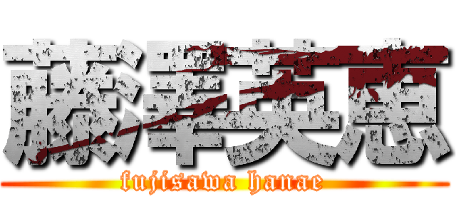 藤澤英恵 (fujisawa hanae)