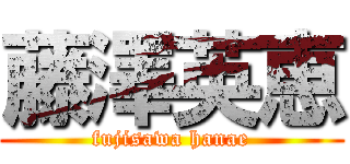 藤澤英恵 (fujisawa hanae)