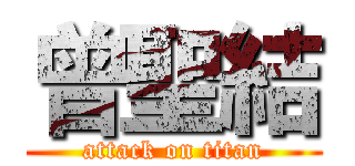 曾聖結 (attack on titan)