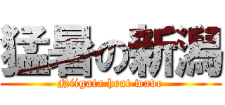 猛暑の新潟 (Niigata heat wave)