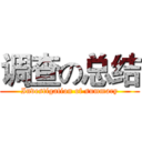 调查の总结 (Investigation of summary)