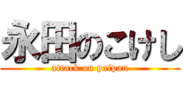 永田のこけし (attack on paipan)