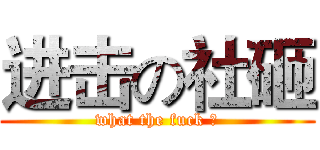 进击の社砸 (what the fuck ？)