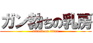 ガン勃ちの乳房 (attack on titan)