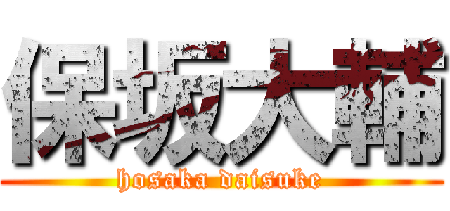 保坂大輔 (hosaka daisuke)