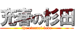 充春の杉田 (the eternal love)