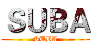 ＳＵＢＡ (SUBA)