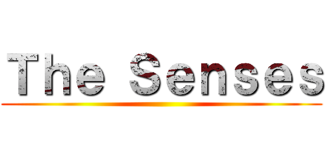 Ｔｈｅ Ｓｅｎｓｅｓ ()