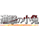 進擊の小兔 (Full onslaught bunny)