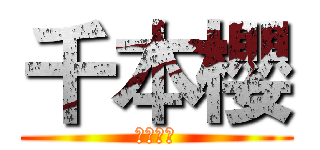 千本櫻 (初音ミク)