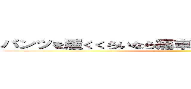 パンツを履くくらいなら痛車に轢かれて死んだ方がまし ()