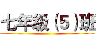 七年级（５）班 ()