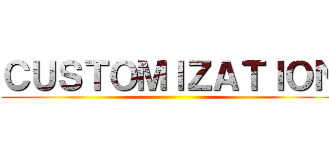 ＣＵＳＴＯＭＩＺＡＴＩＯＮ ()