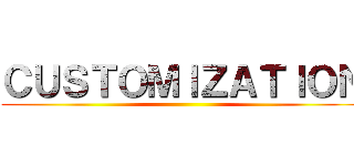 ＣＵＳＴＯＭＩＺＡＴＩＯＮ ()