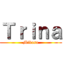 Ｔｒｉｎａ (Mikasa)