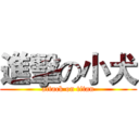 進擊の小犬 (attack on titan)