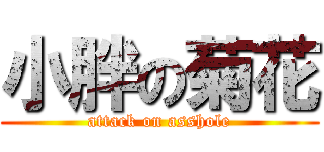 小胖の菊花 (attack on asshole)