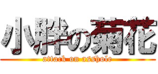 小胖の菊花 (attack on asshole)