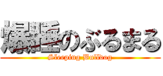 爆睡のぶるまる (Sleeping Bulldog)