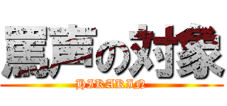 罵声の対象 (HIKAKIN)