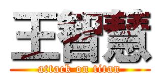 王智慧 (attack on titan)