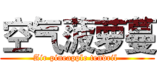 空气菠萝蔓 (Air pineapple tendril )
