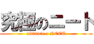 究極のニート (ultimate a NEET)