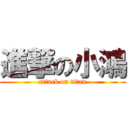 進撃の小鴻 (attack on titan)