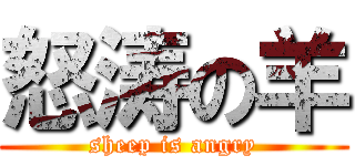 怒涛の羊 (sheep is angry)