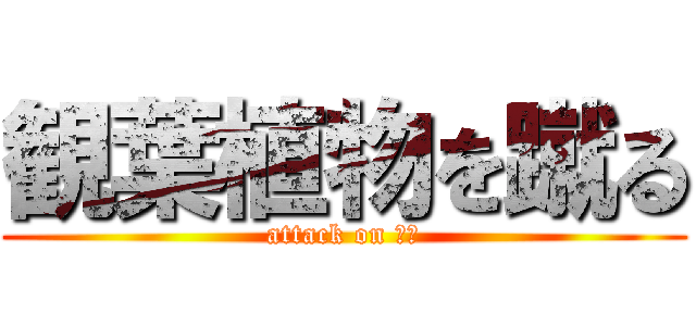 観葉植物を蹴る (attack on 福田)