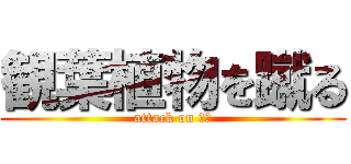 観葉植物を蹴る (attack on 福田)